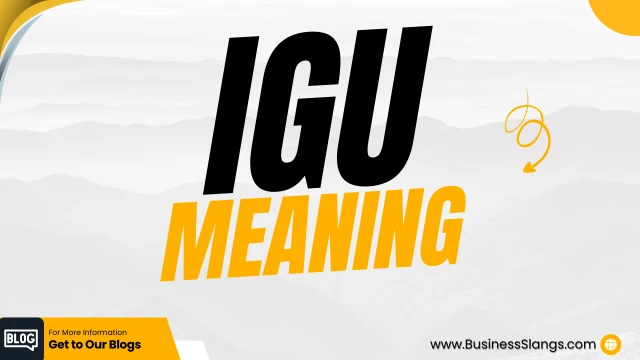 What does IGU mean?