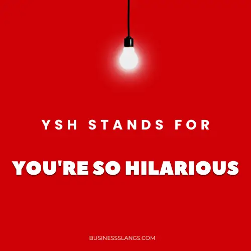 Meaning of YSH