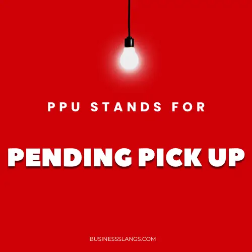 Meaning of PPU